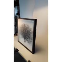 Modern wall art sea fan 3D shadow box wall décor photo framed with organic glass   131974166437